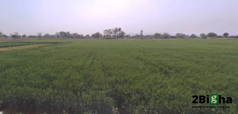 Beas Pind, Punjab, India preview 3