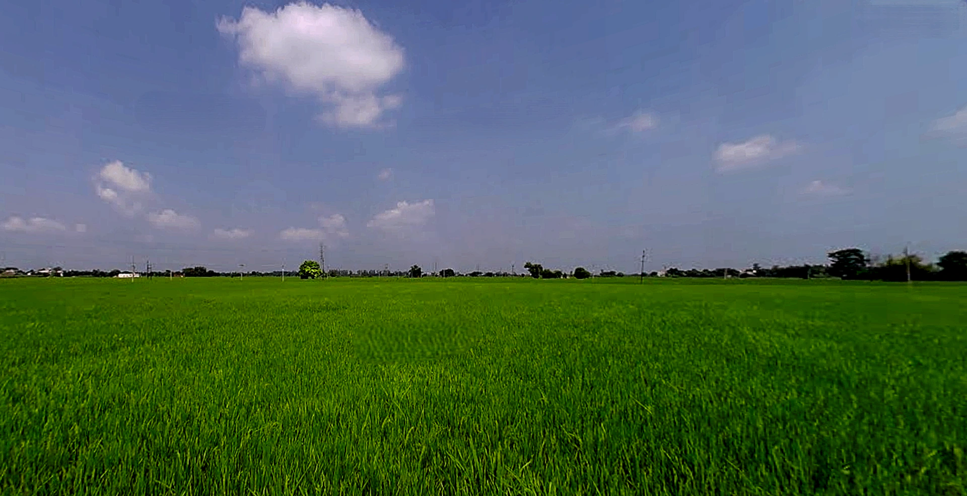 Seona, Patiala, Punjab 147006, India