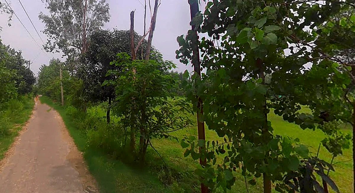 Salampur Gadda, Uttar Pradesh 247001, India