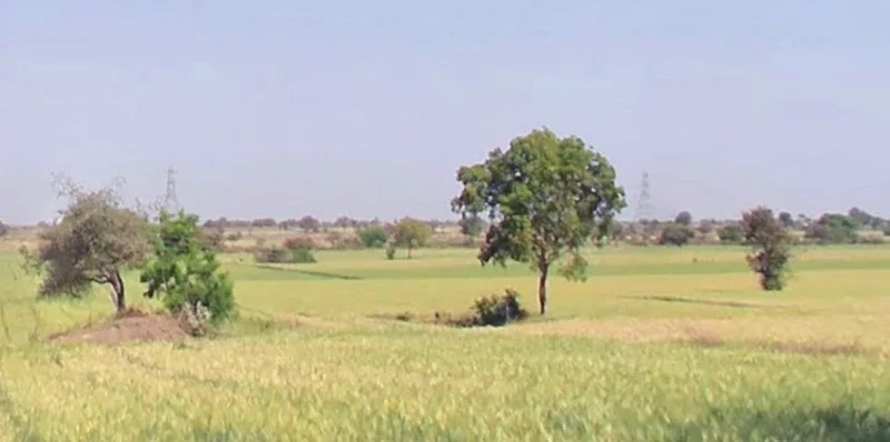 Sulgaon, Madhya Pradesh 450551, India