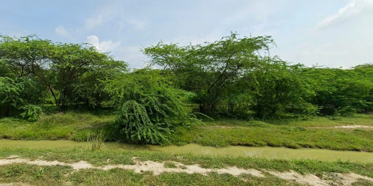 Mohanlalganj, Uttar Pradesh 226301, India