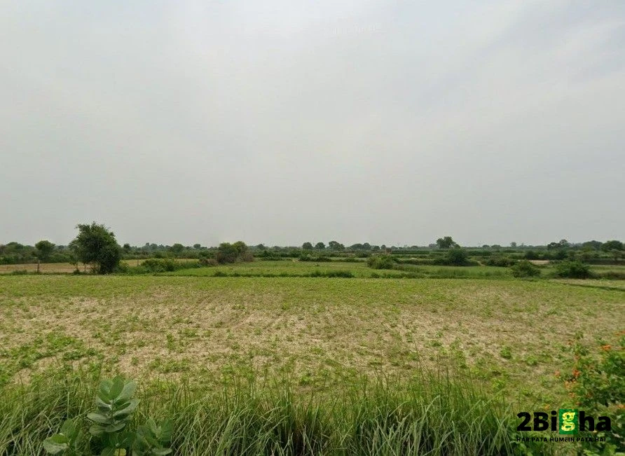 Bithoor, Uttar Pradesh 209217, India