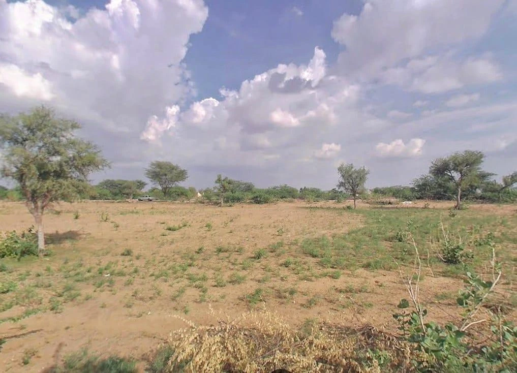 RXG5+3M Pandit Ki Dhani, Rajasthan, India