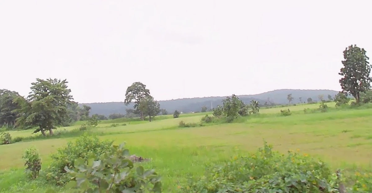 Bhainsa, Madhya Pradesh 470775, India