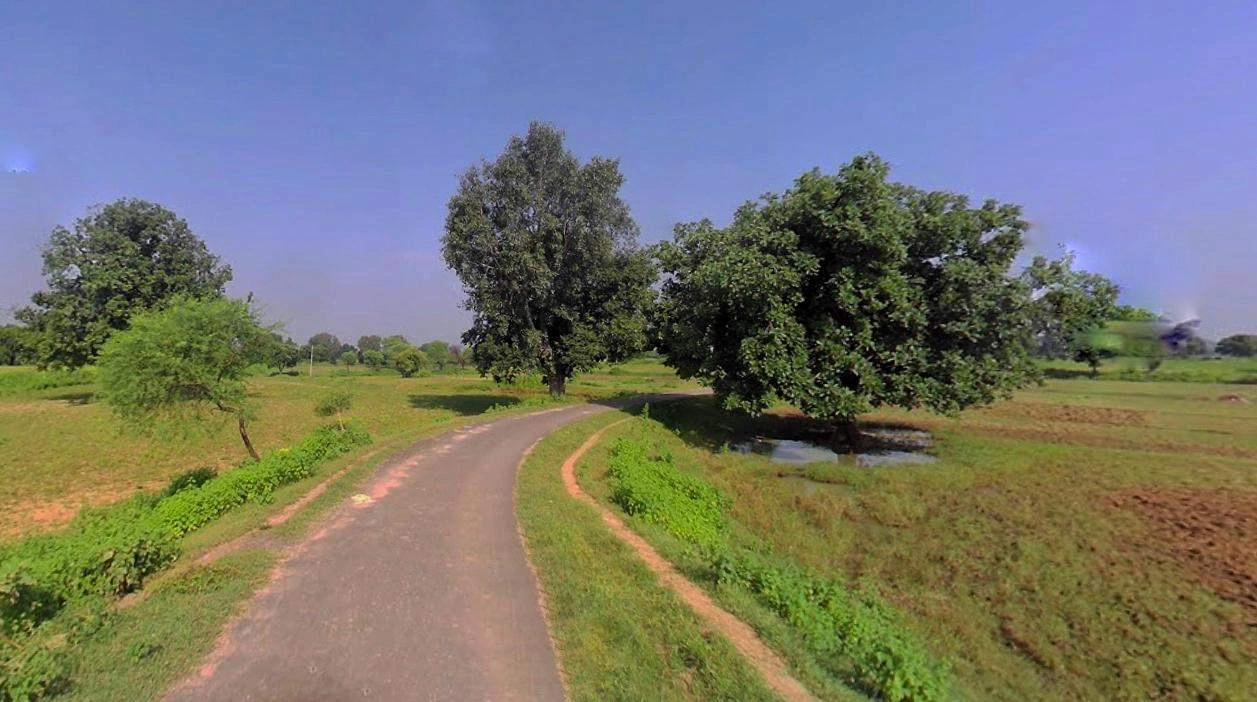 Hardoi, Uttar Pradesh 241001, India