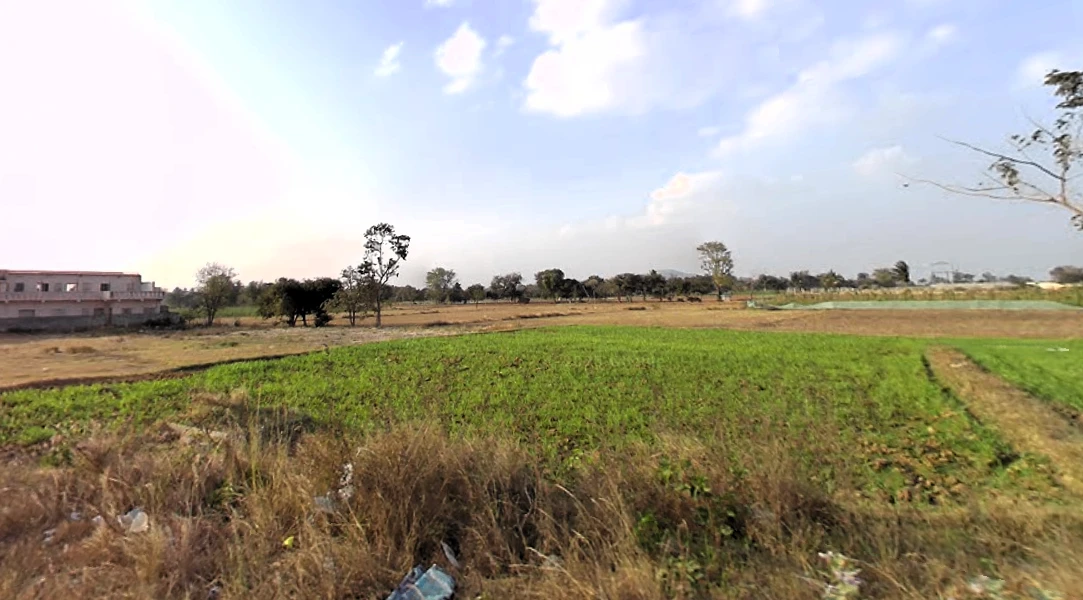Agricultural Land in Mulbagal, Kolar