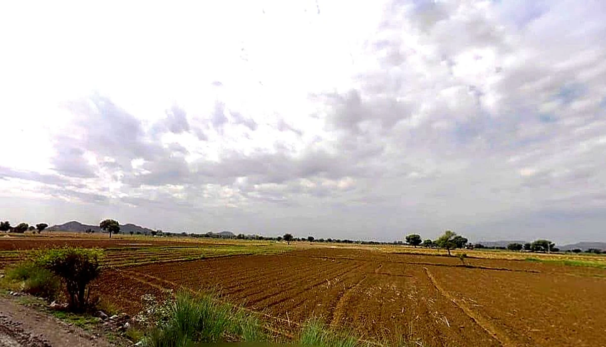 Beejwa, Rajasthan, India