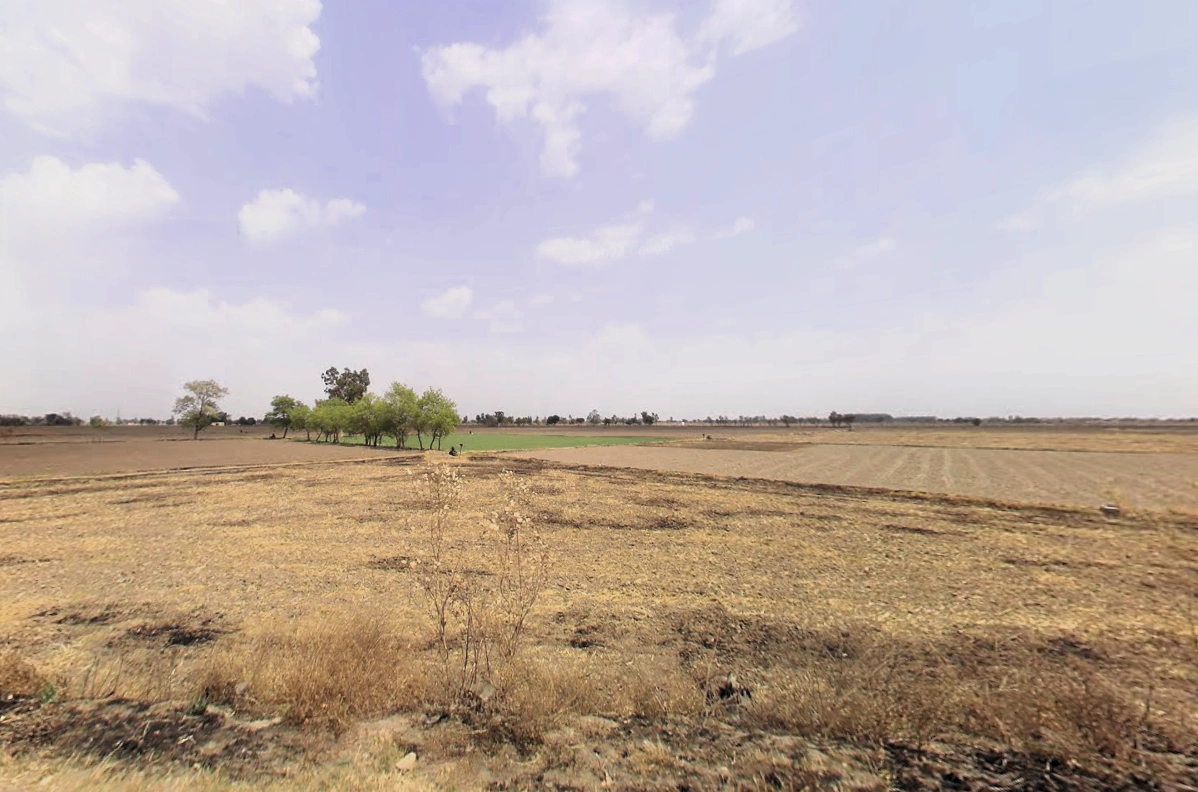 Bass, Haryana 125042, India