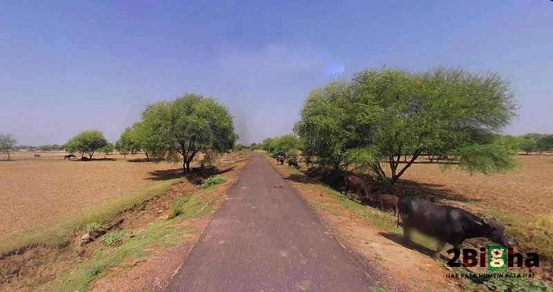 Muskara, Uttar Pradesh 210506, India preview 2