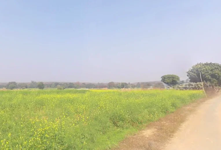Pagar, Uttar Pradesh 231211, India