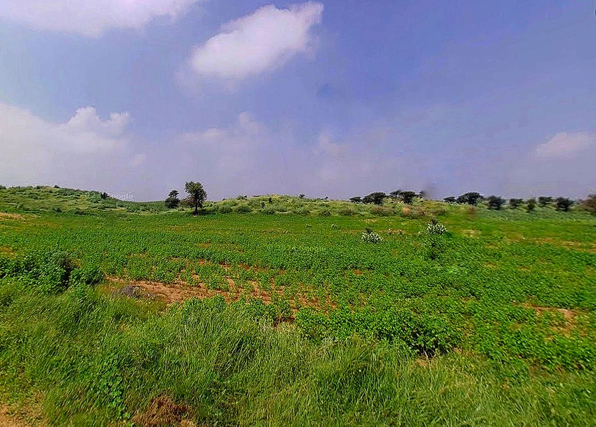 Bihta-Sakaddi Rd, Modahi, Bihar, India
