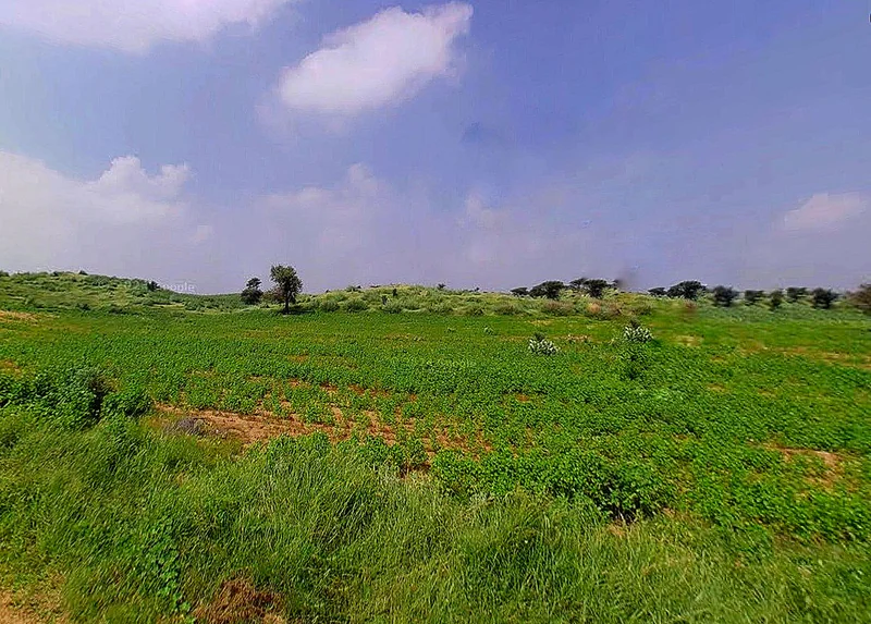 Agricultural Land in Patna,bihta, village , Patna