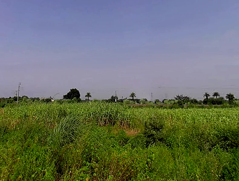 Naugawan Sadat, Uttar Pradesh 244251, India preview 3