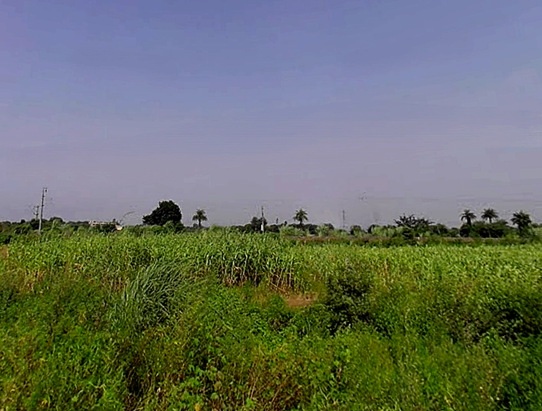 Naugawan Sadat, Uttar Pradesh 244251, India