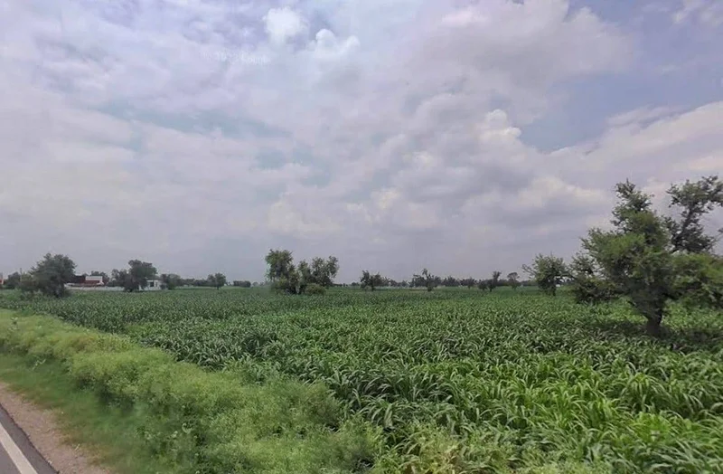 Bharatpur Rd, Semli, Rajasthan, India preview 2