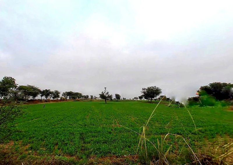 23WX+XJ8, Dabri, Rajasthan 332305, India preview 2