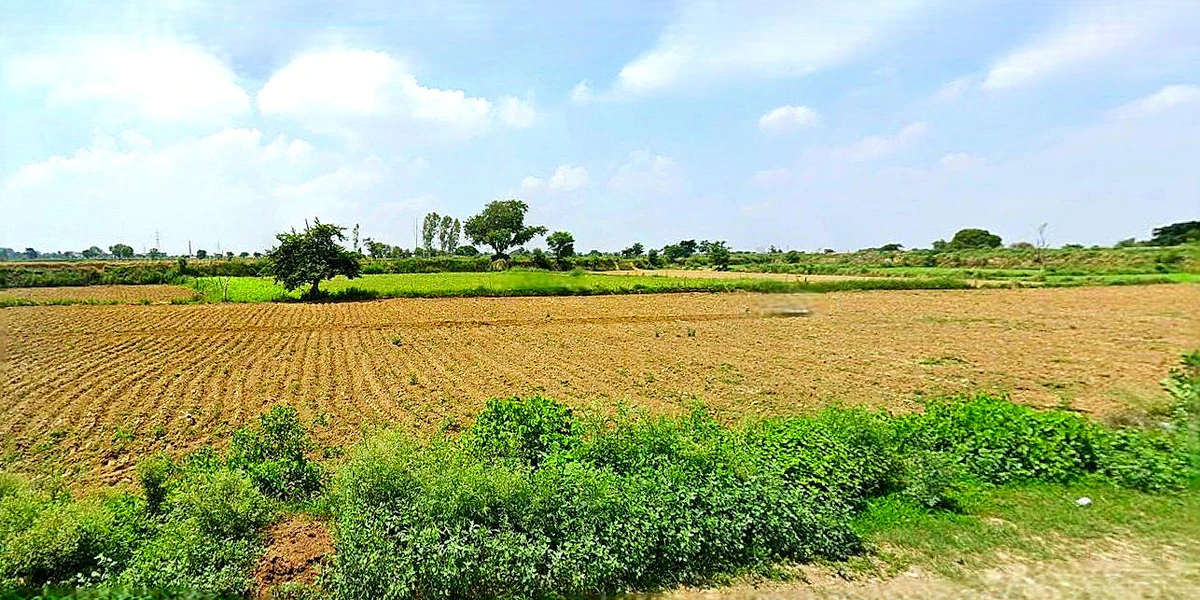 Rudauli, Uttar Pradesh 224120, India