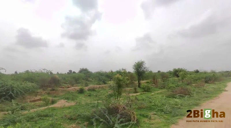 AGRICULTURAL in posslia, sirohi