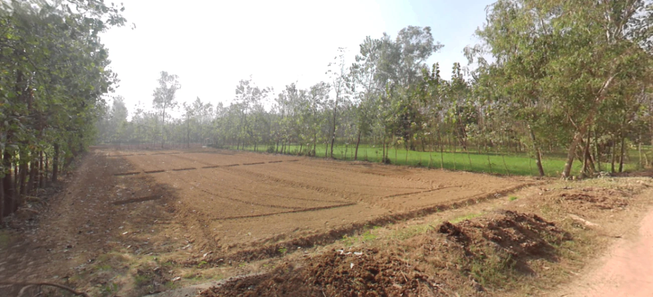 Dada Patti, Uttarakhand 247662, India