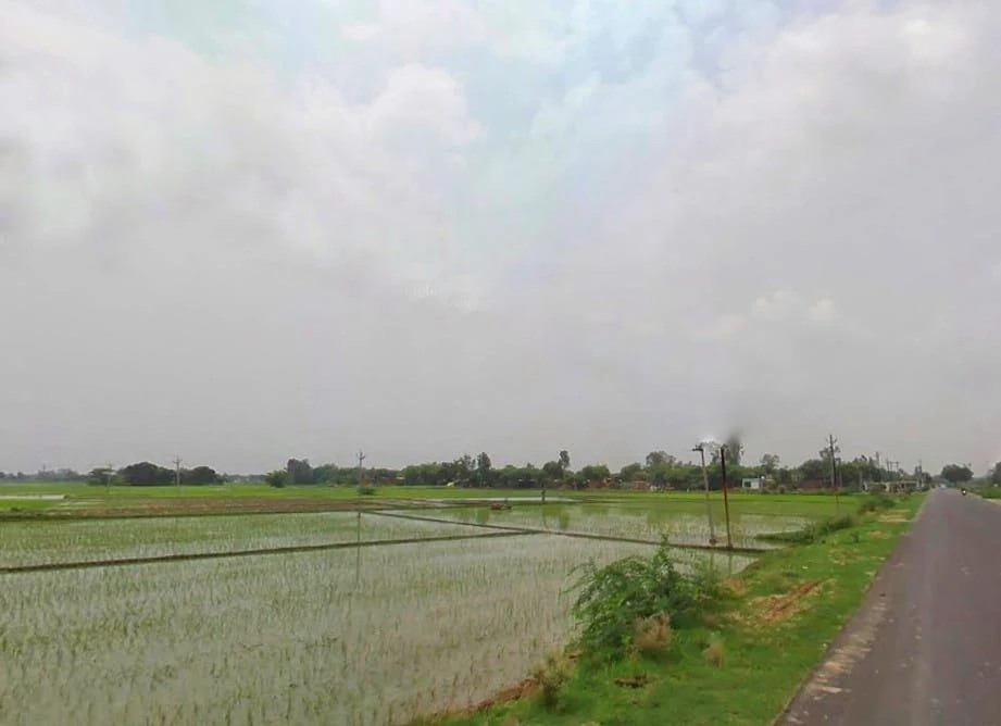 AGRICULTURAL in Bannawa, raebareli