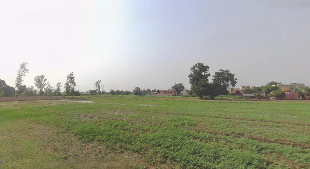 Dakoha, Rama Mandi, Jalandhar, Punjab 144005, India