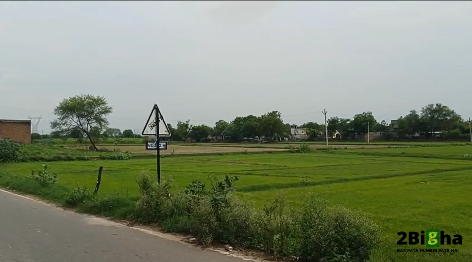 AGRICULTURAL in Sadabaad Raya Road, hathras