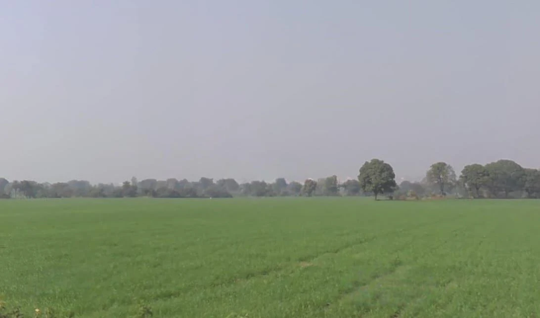 Agricultural Land in Pitampur, Dhar
