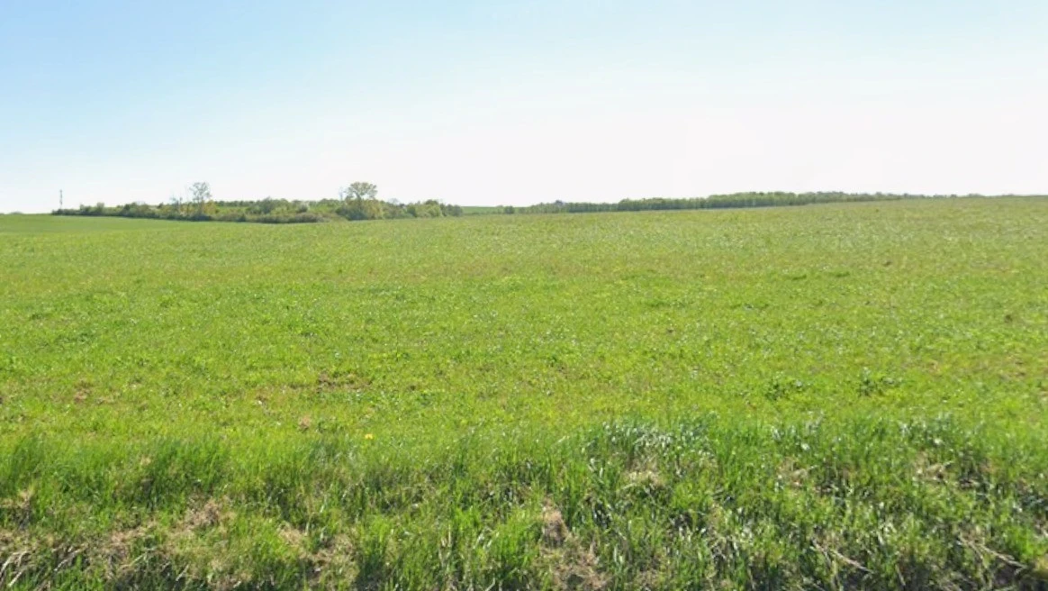 Rania, Uttar Pradesh, India