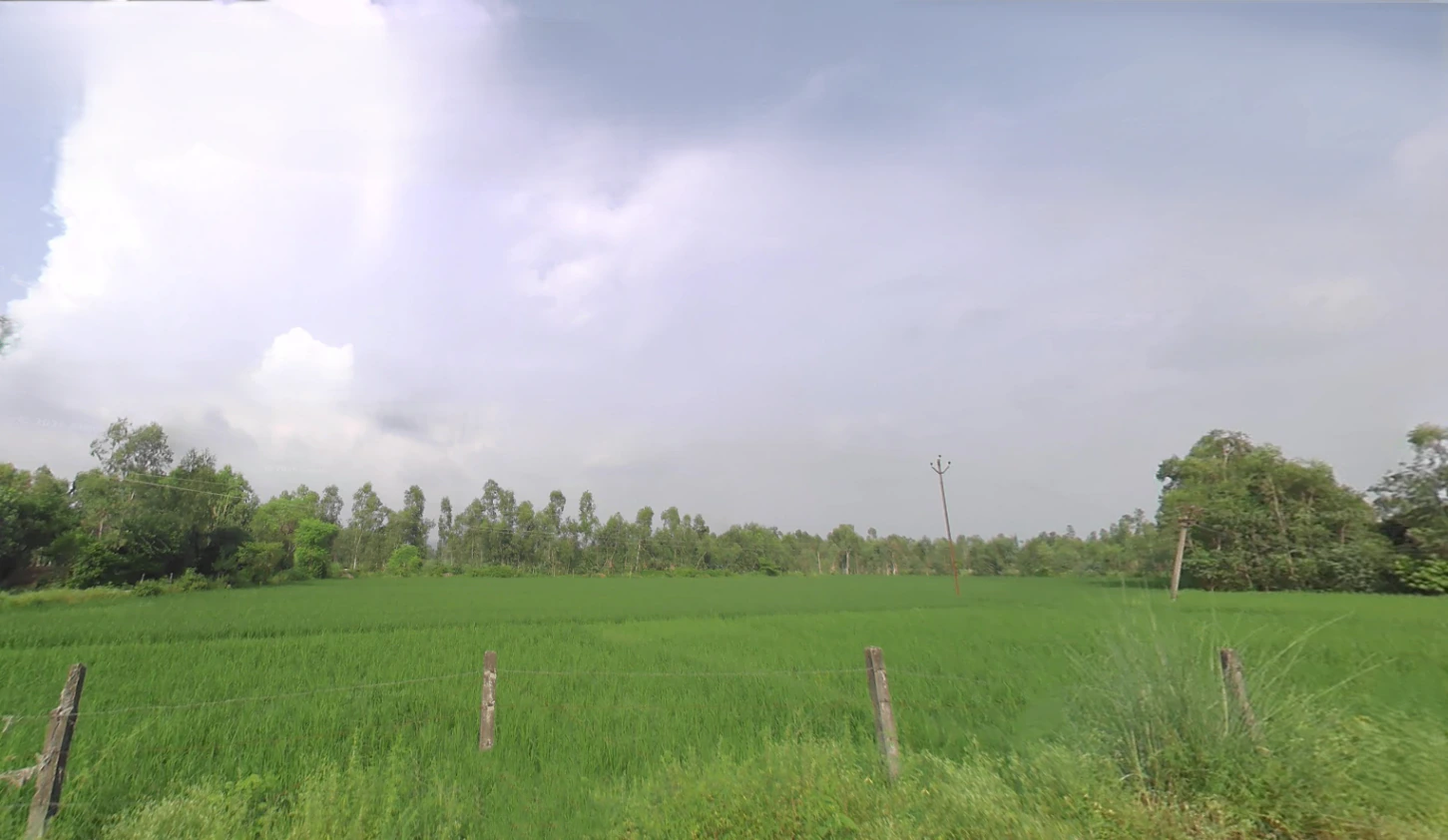 Kothdi Bahlolpur, Uttar Pradesh 247129, India