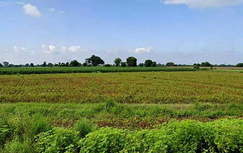 Rajapur, Madhya Pradesh 475661, India preview 2