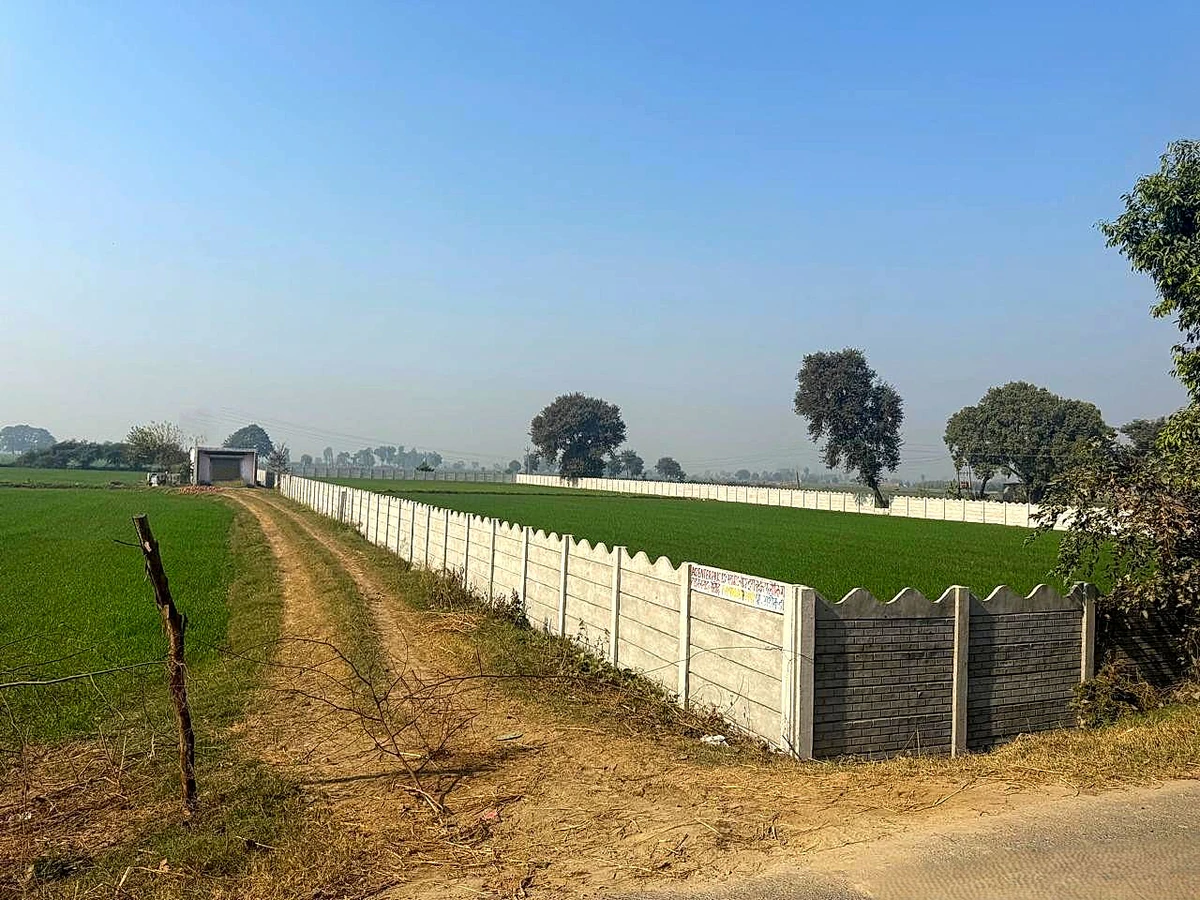 5FQR+9V5, Bagpur Khurd, Haryana, India