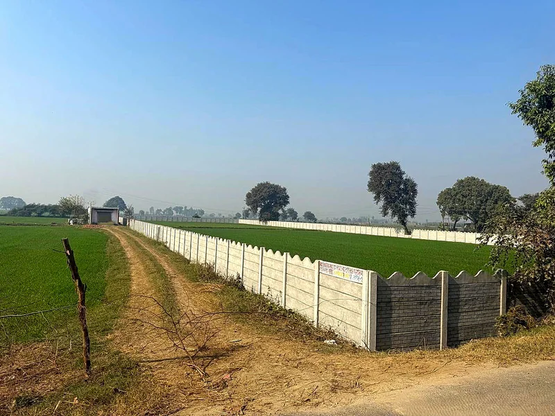 5FQR+9V5, Bagpur Khurd, Haryana, India preview 2