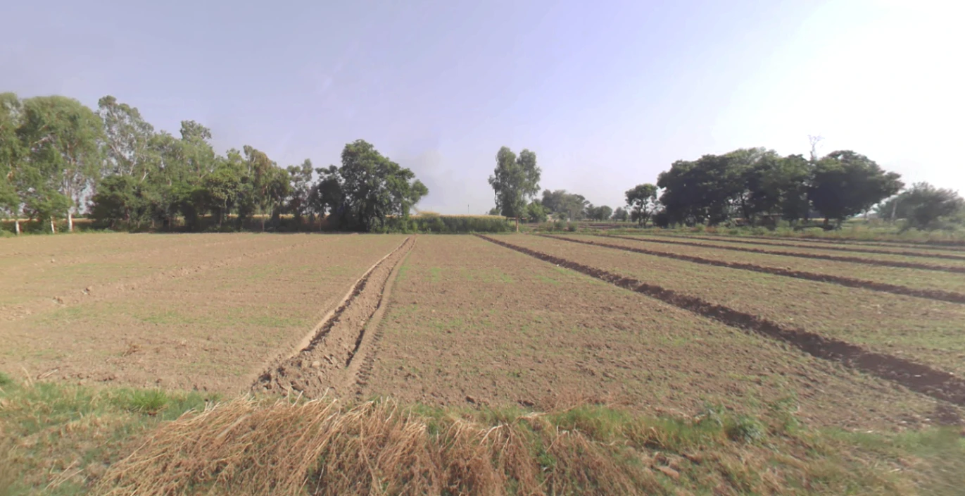 Hasanawala, Uttarakhand 247662, India