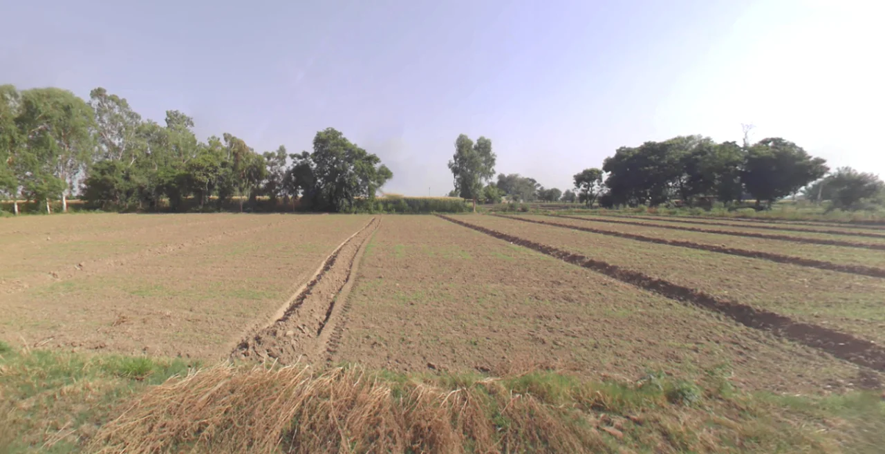 Hasanawala, Uttarakhand 247662, India preview 2