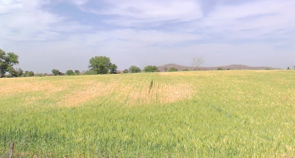 Kanakheda, Madhya Pradesh 458441, India