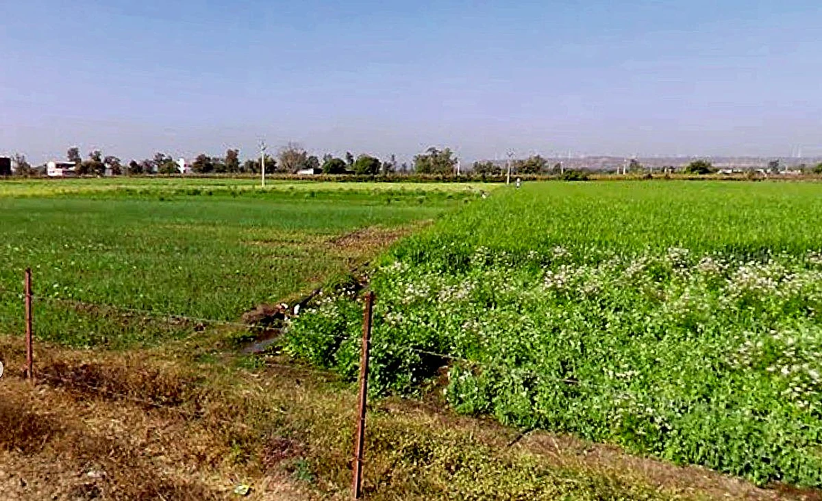 Lohar Pipalya, Madhya Pradesh 455001, India