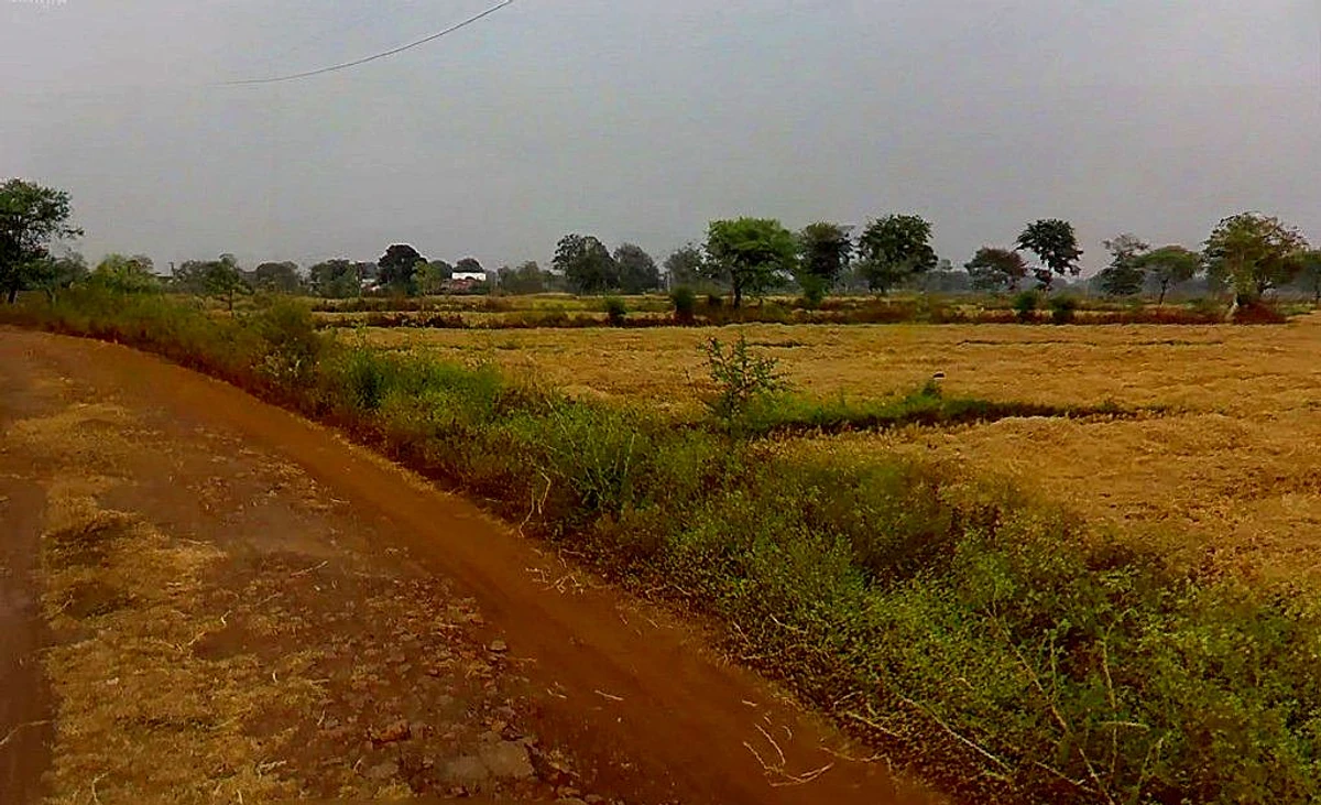 Baktara-2, Chhattisgarh 493661, India