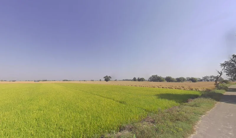 Agricultural Land in Tilak chnadrapur, domra, Paschim-bardhaman