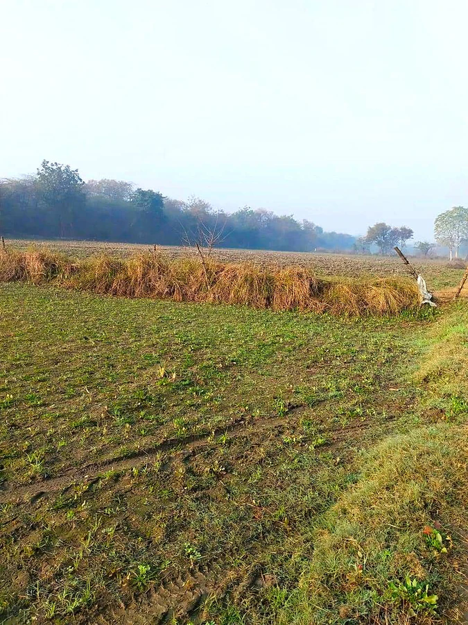 Issapur, Delhi, 110073, India