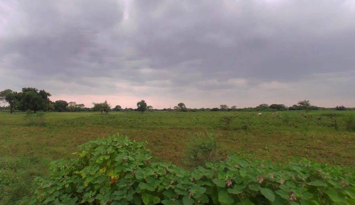 AGRICULTURAL in mawai buzurg, banda