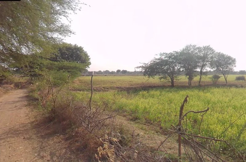 AGRICULTURAL in Tisang, shamli