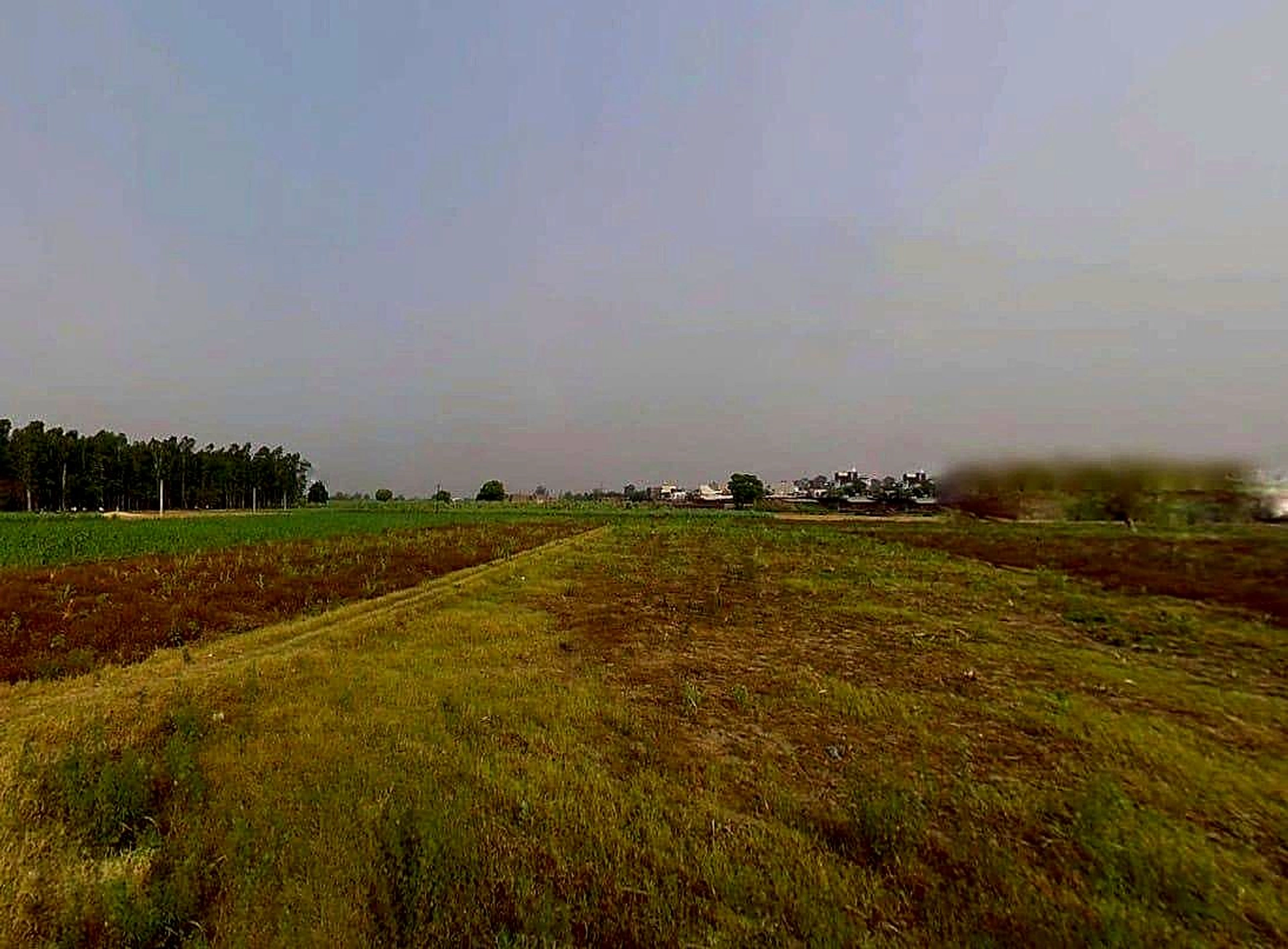 Mawana, Uttar Pradesh, India