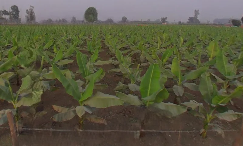 Arjun pur, Uttar Pradesh 226203, India preview 3