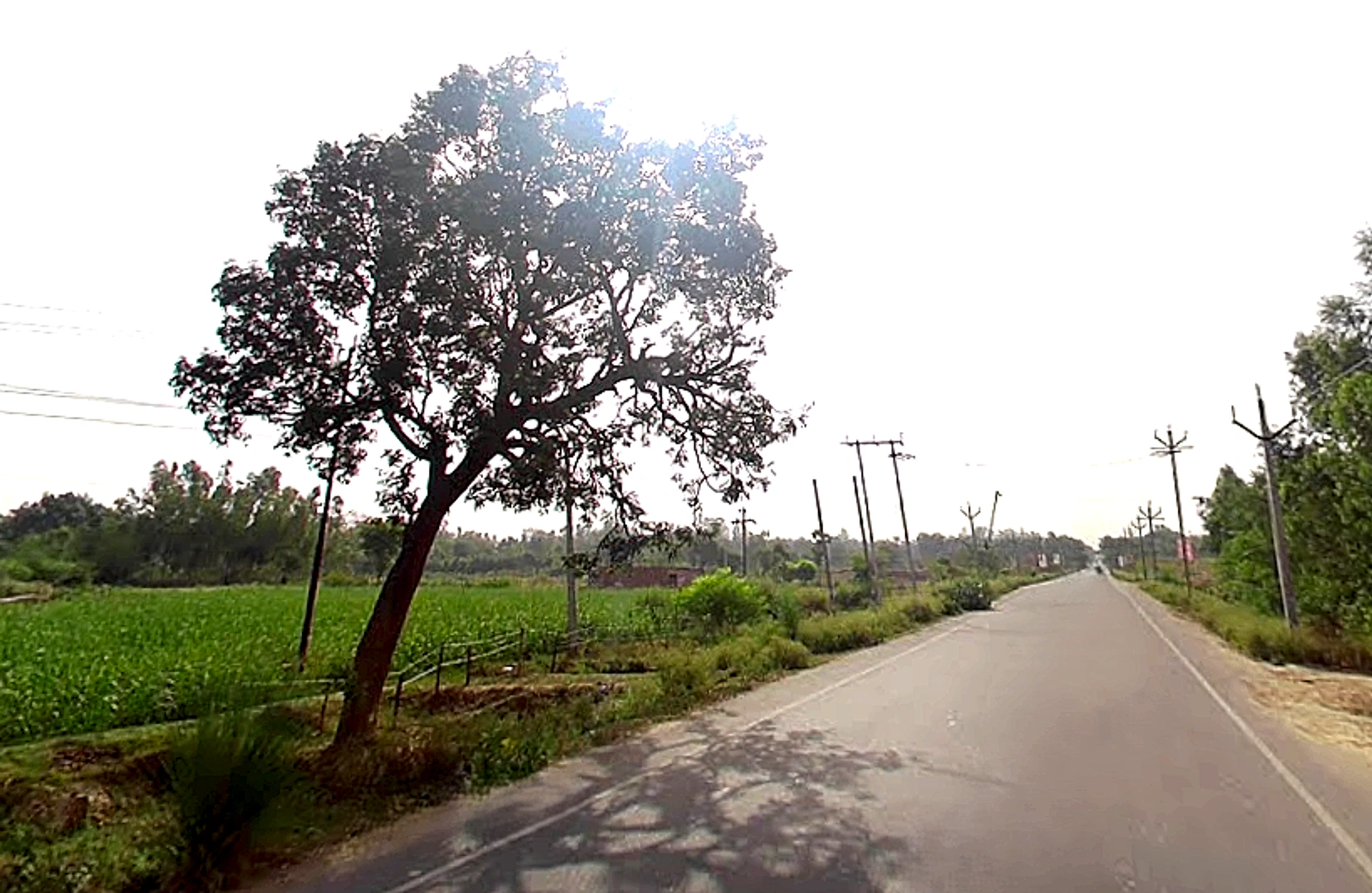 Sidhauli, Uttar Pradesh, India