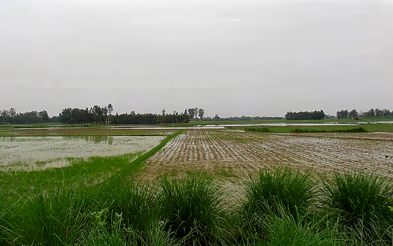 Papad Hamjapur, Uttar Pradesh 243635, India preview 3