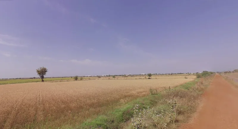 Agricultural Land in Viramgam, Ahmedabad