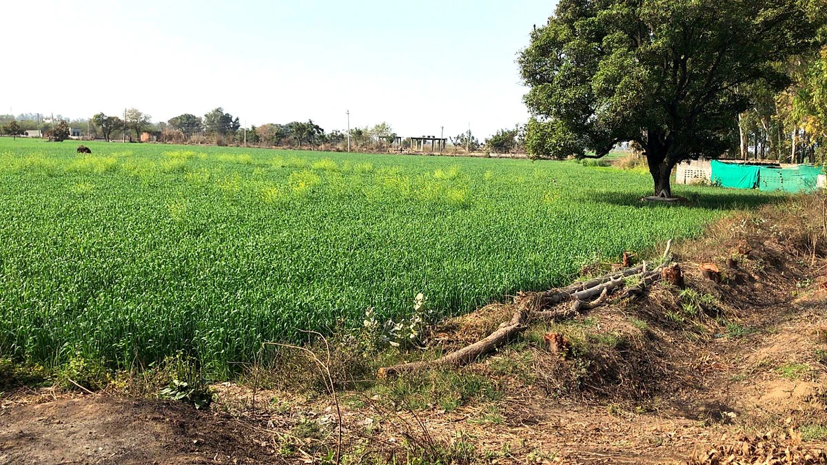 Kharkhoda, Haryana 131402, India