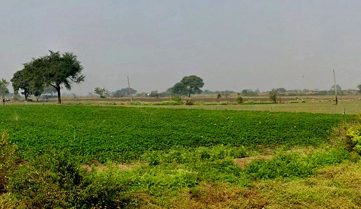 XR49+HRH, Gawala, Madhya Pradesh 453551, India
