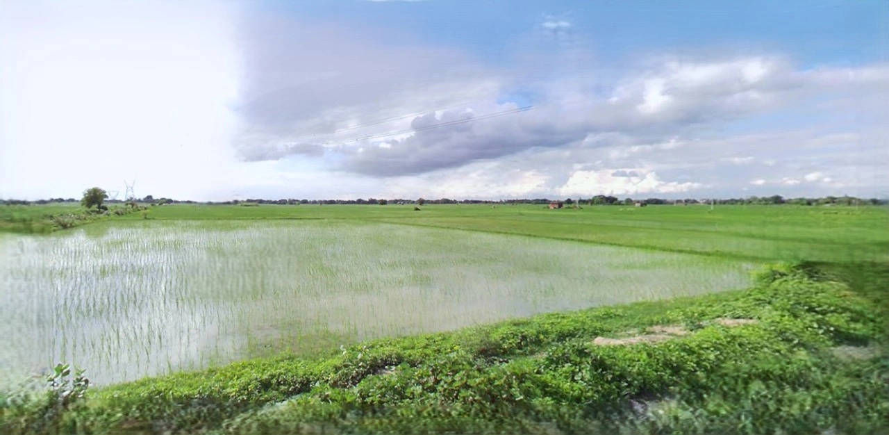 Lucknow, Uttar Pradesh, India