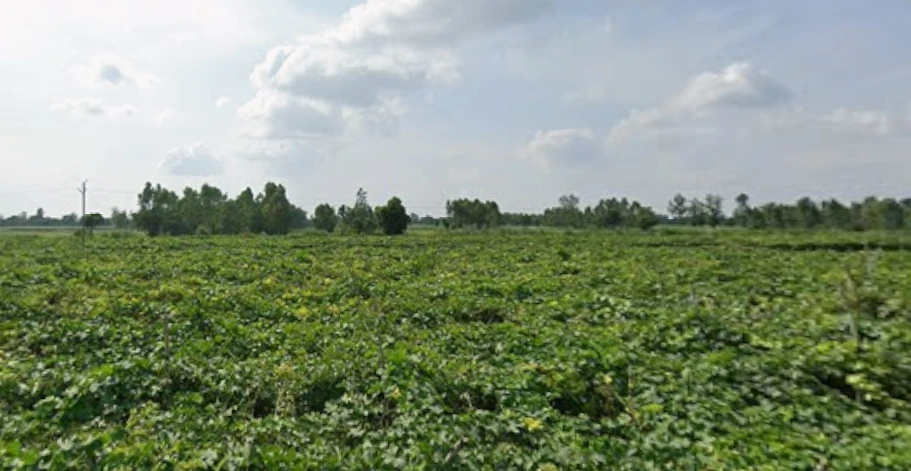 Faridpur, Uttar Pradesh 243503, India